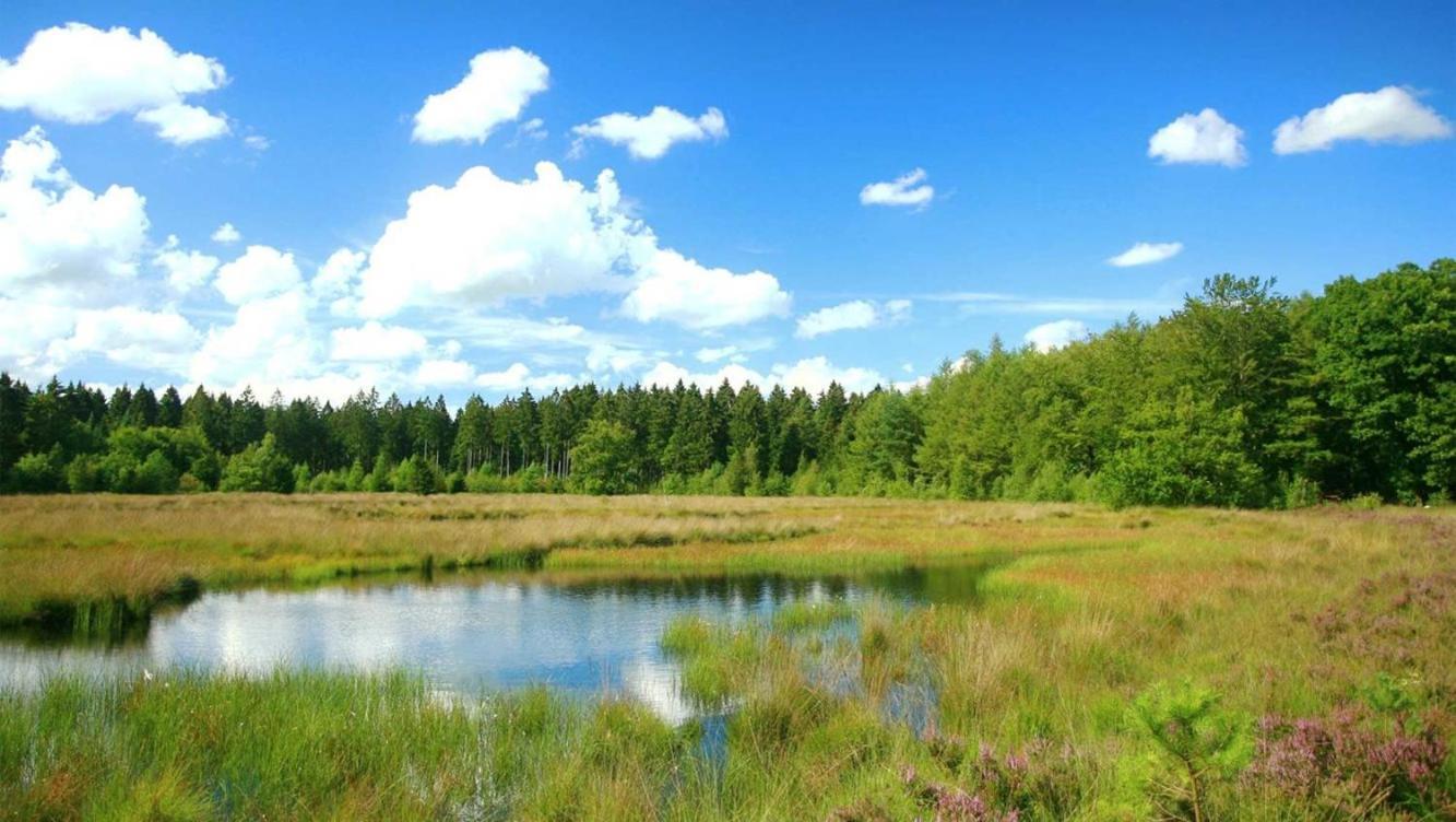 Comfortabel Chalet In Nationaal Park Wateren Dış mekan fotoğraf
